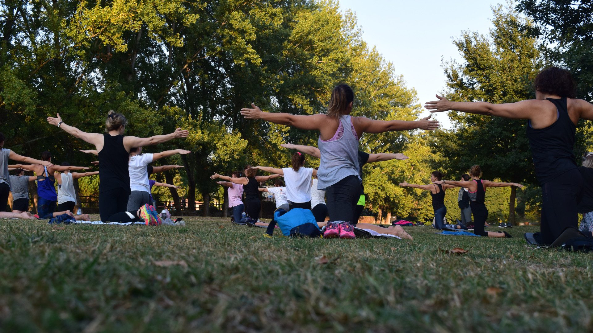 A group of people doing yoga in the park.